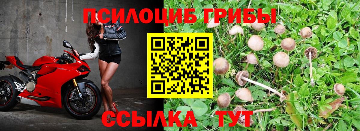Галлюциногенные грибы ЛСД  Вход с VPN  Галлюциногенные грибы Magic Shrooms  Воронеж 