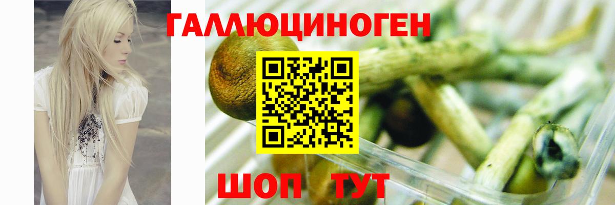 Галлюциногенные грибы MAGIC MUSHROOMS Воронеж