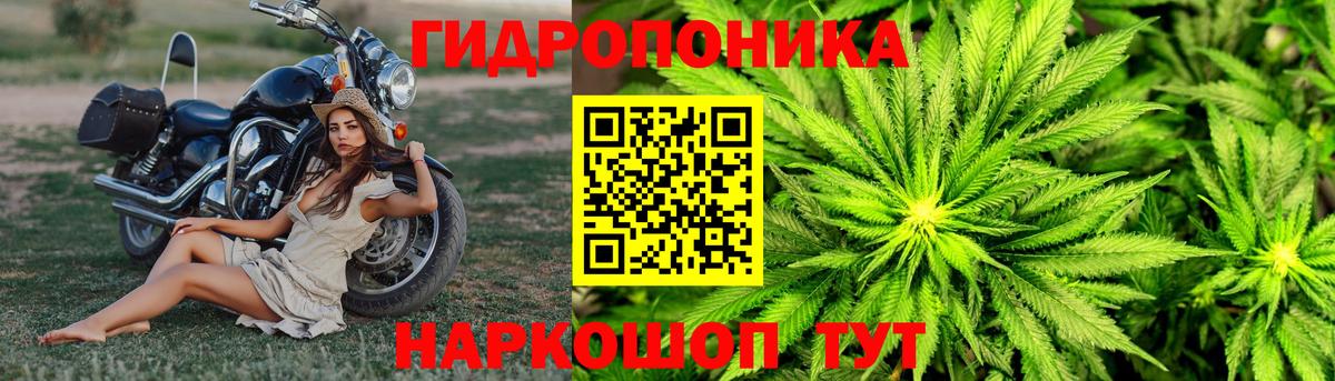 Бошки Шишки THC 21% Воронеж